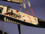 [Team New Zealand Model Ship]