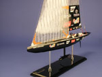 [Team New Zealand Model Ship]